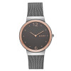 SKAGEN SKW2382